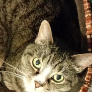 Meet your Posher, Marie